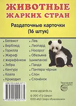Животные жарких стран. 16 раздаточных карточек с текстом