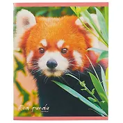 Тетрадь в клетку Unnika, "Красная панда", 80 листов, в ассортименте