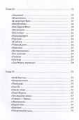 Имбирпьян: стихотворения - 2