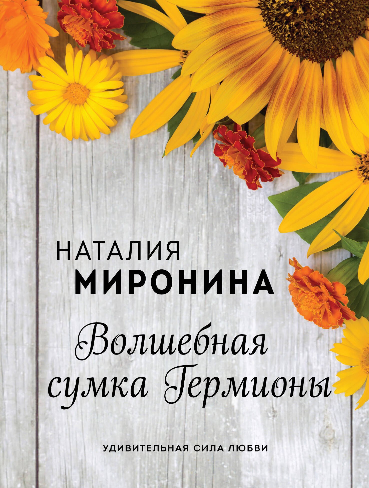 

Волшебная сумка Гермионы