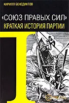 "Союз Правых Сил".Краткая история партии