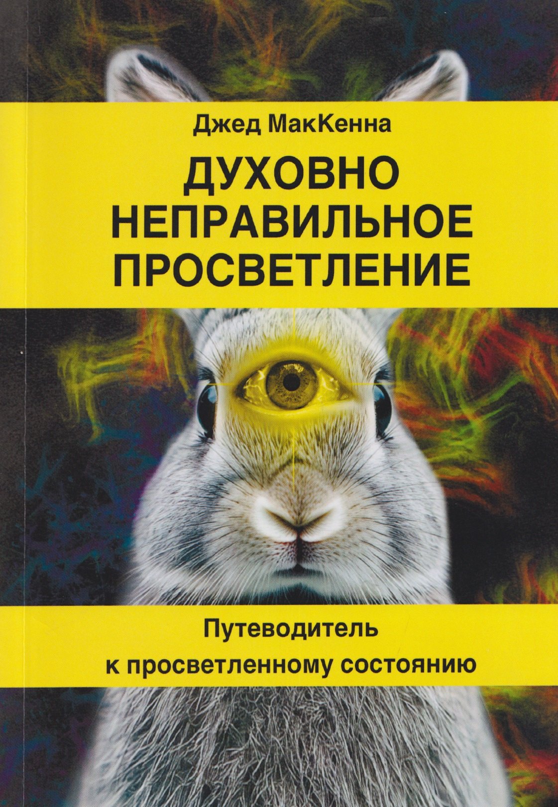 

Духовно неправильное просветление. Путеводитель к просветленному состоянию