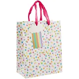 Пакет А5 23*18*10 Радужный горошек нейтр., бум.мат.ламинат