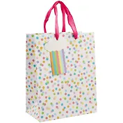 Пакет А5 23*18*10 Радужный горошек нейтр., бум.мат.ламинат