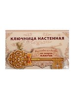 Ключница дерево Выходя из дома не забудь ключи (14,8х6) (1134729)