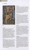 Садовый виноград. Иллюстрированное руководство - 2