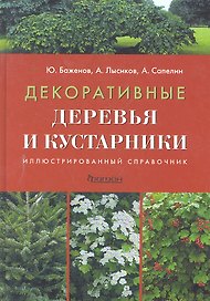 Декоративные деревья и кустарники
