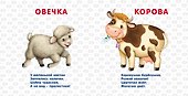 Книжки-картонки. Домашние животные - 2