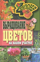 Выращивание цветов на вашем участке