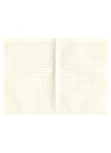 Записная книжка «Дворцовый мост» А6, 32 листа в клетку, сшивка, Знаковые сувениры - 1