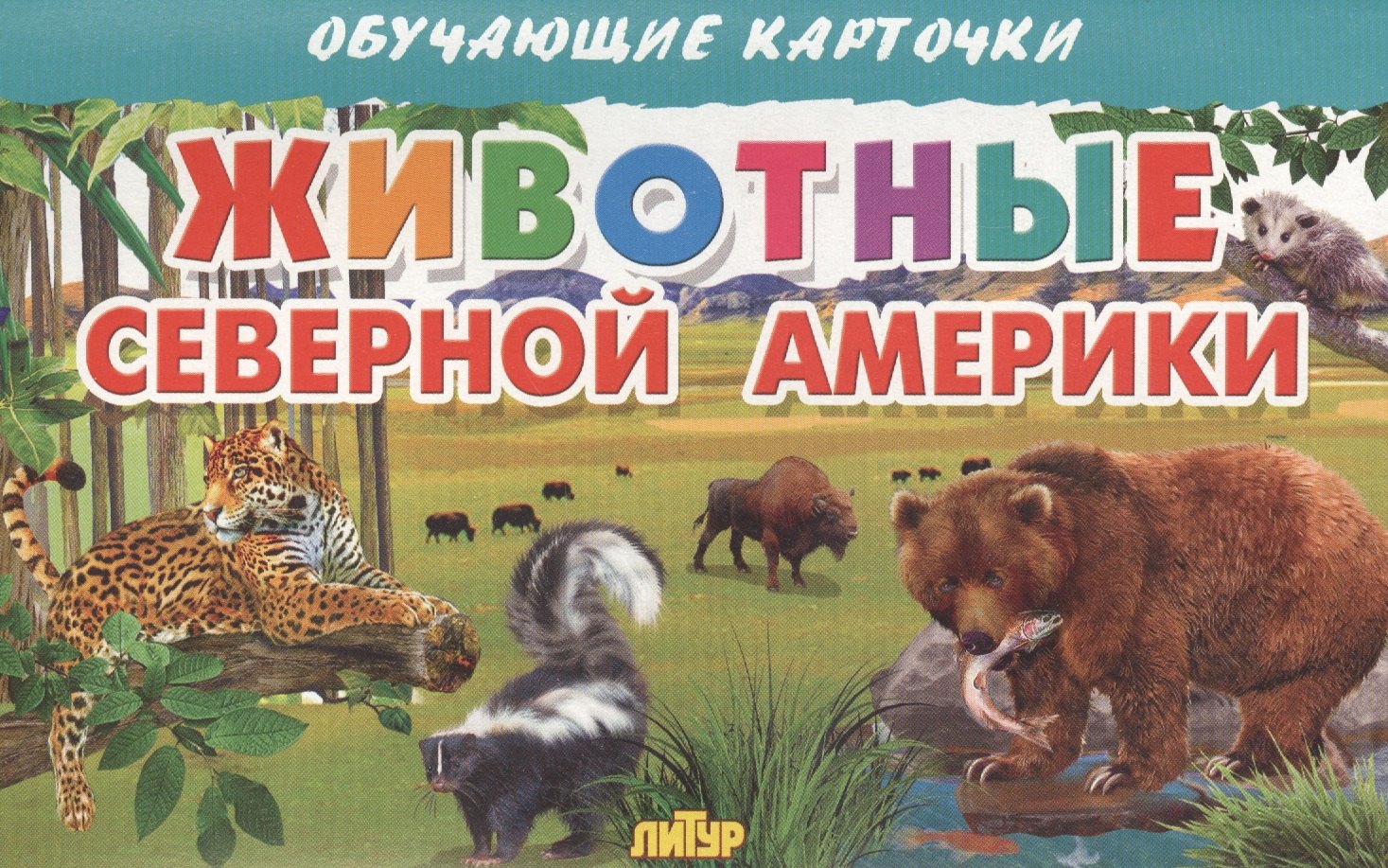 

Животные Северной Америки