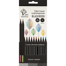 Карандаши цветные «Blackwood», АРТформат, 12 цветов