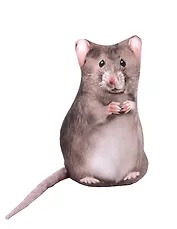 Подушка декоративная антистресс Крыса (23х13) (АН2025-22)