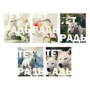 Тетрадь в клетку Listoff, "В дикой природе", 96 листов