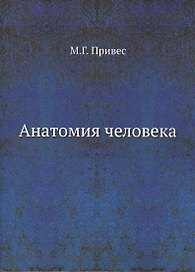 Анатомия человека