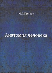 Анатомия человека
