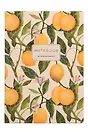 Книга для записей А5 60л кл. "FLORA.PARADISE.LEMONS" иск.кожа, сшивка, Bruno Visconti