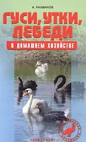 Гуси, утки, лебеди в домашнем хозяйстве