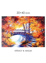 Набор для творчества. Алмазные узоры "Мост в лесу", 30 х 40 см
