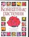 Комнатные растения: мини-энциклопедия. Уход и выращивание, размножение, болезни и вредители
