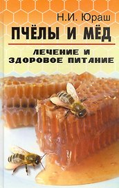 Пчелы и мед: лечение и здоровое питание дп