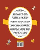 Как кот стал Котом-Котофеичем - 1
