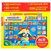 Загадай - я отгадаю. Планшетик