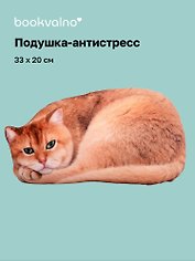Подушка декоративная антистресс Котик рыжий (33х20) (bv-17)