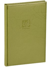Алфавитная книга А5 80 листов "SCRIBBLE" зеленая