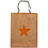 Пакет А5 23*18*10 "Asterisk" нейтр., бум.мат.ламинат - 1
