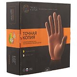 Набор химических эскпериментов для детей Трюки Науки "Точная Копия" Z006