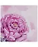 Набор для творчества Алмазная мозаика "Розовый пион", 30 х 30 см - 0