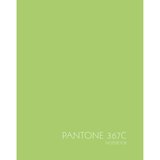 Книга для записей (евротетрадь) А5, 96л. Июньский зеленый ЕТИЛ596195