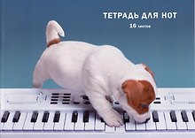 Тетрадь для нот «Пианист» 16 листов, А4, скрепка - Listoff