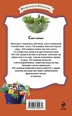 Оливье и другие праздничные салаты. - 1
