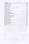 Три Лжедмитрия. Самозванцы на царском троне - 2