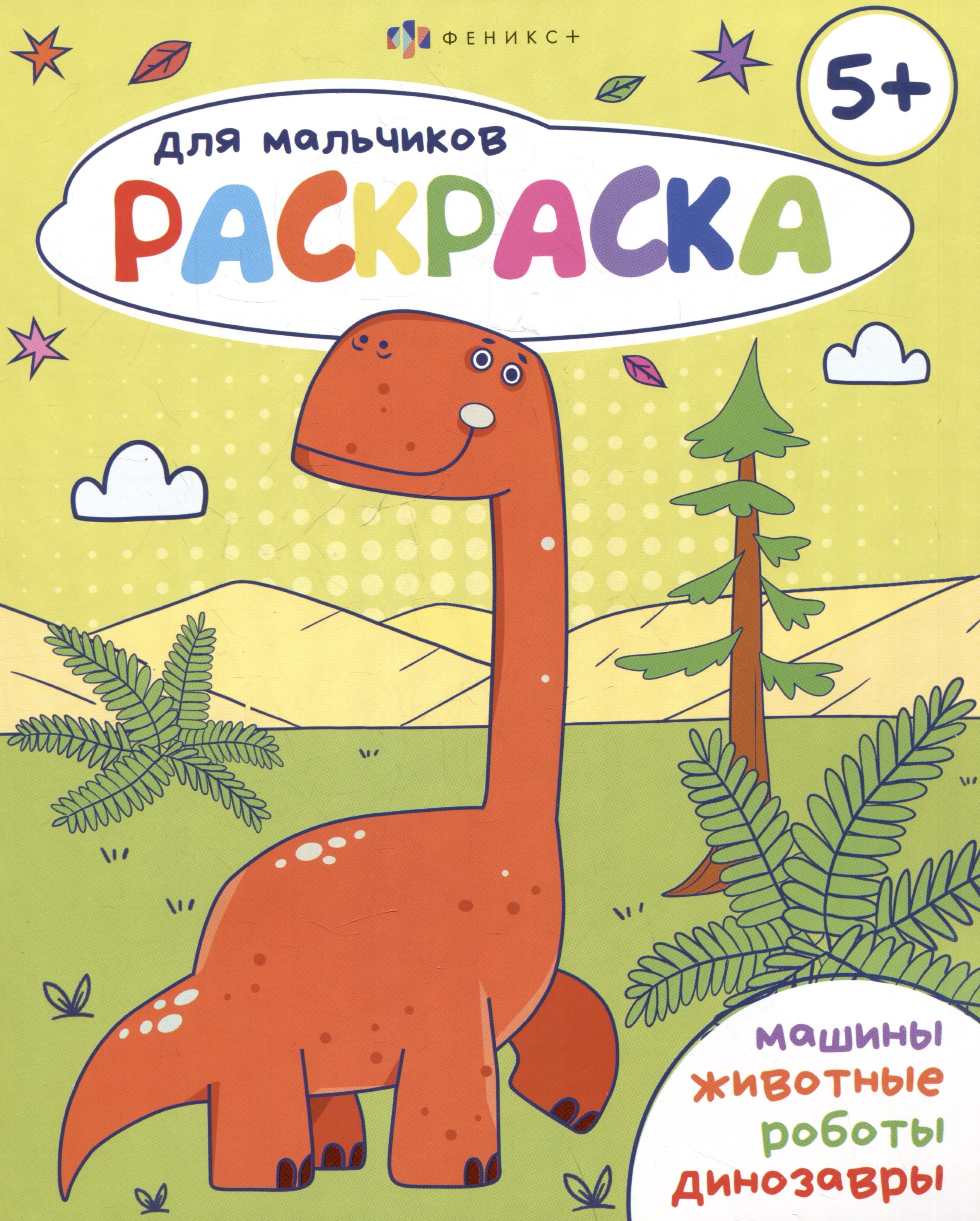 

Раскраска для мальчиков 5+