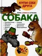 Купи себе друга. Собака