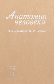 Анатомия человека. В 2-х томах. Том II