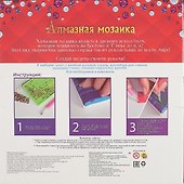 Алмазная мозаика (блест) Нидерланды (AS30001) (30х30см) (33цв) (с подр.,с полн.зап.) (Рыжий Кот) (6+) (коробка) - 2