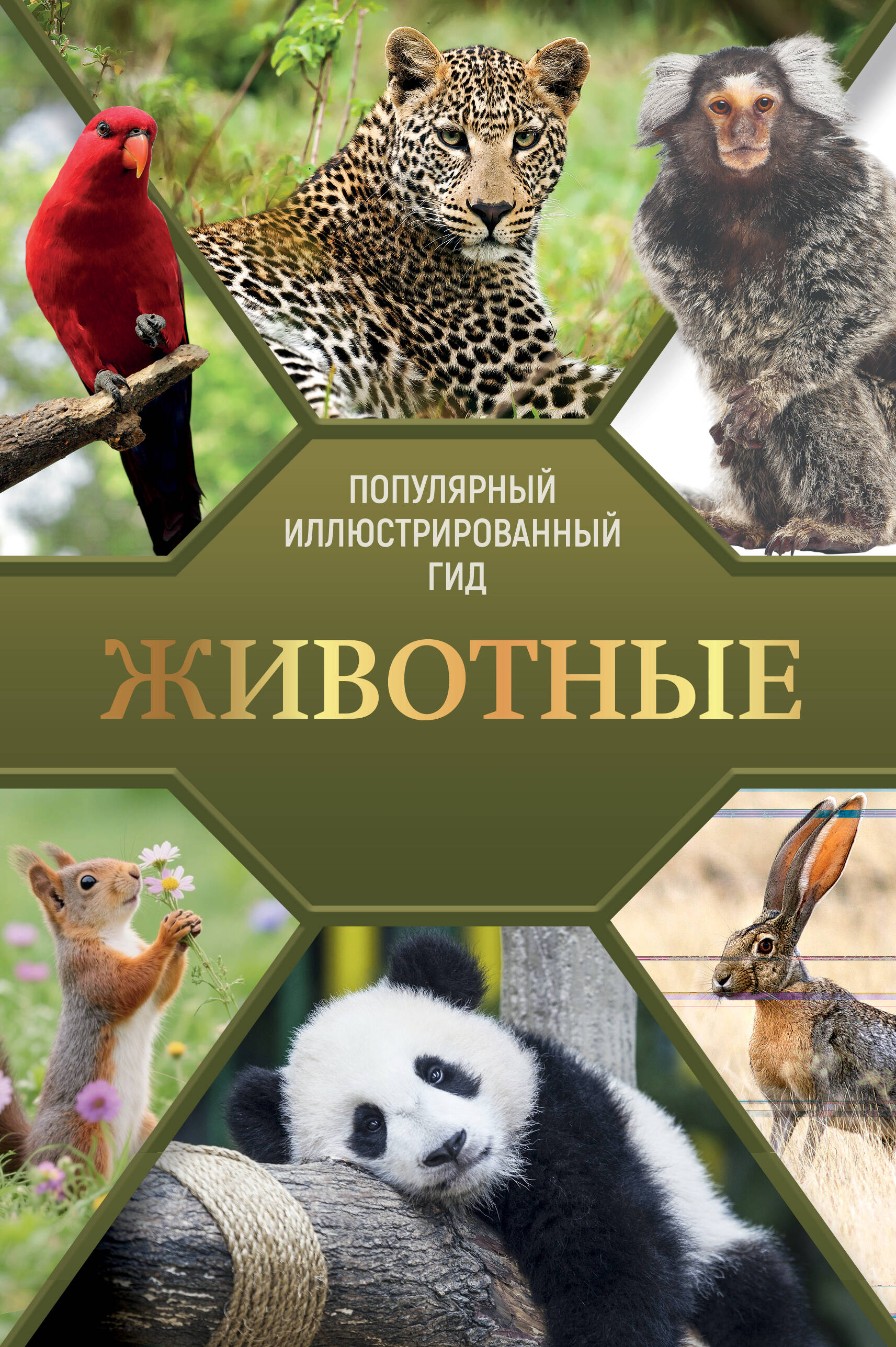 Обложка книги «Животные. Популярный иллюстрированный гид»
