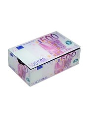 Шкатулка Евро (18х12х6,5см) (502-501)