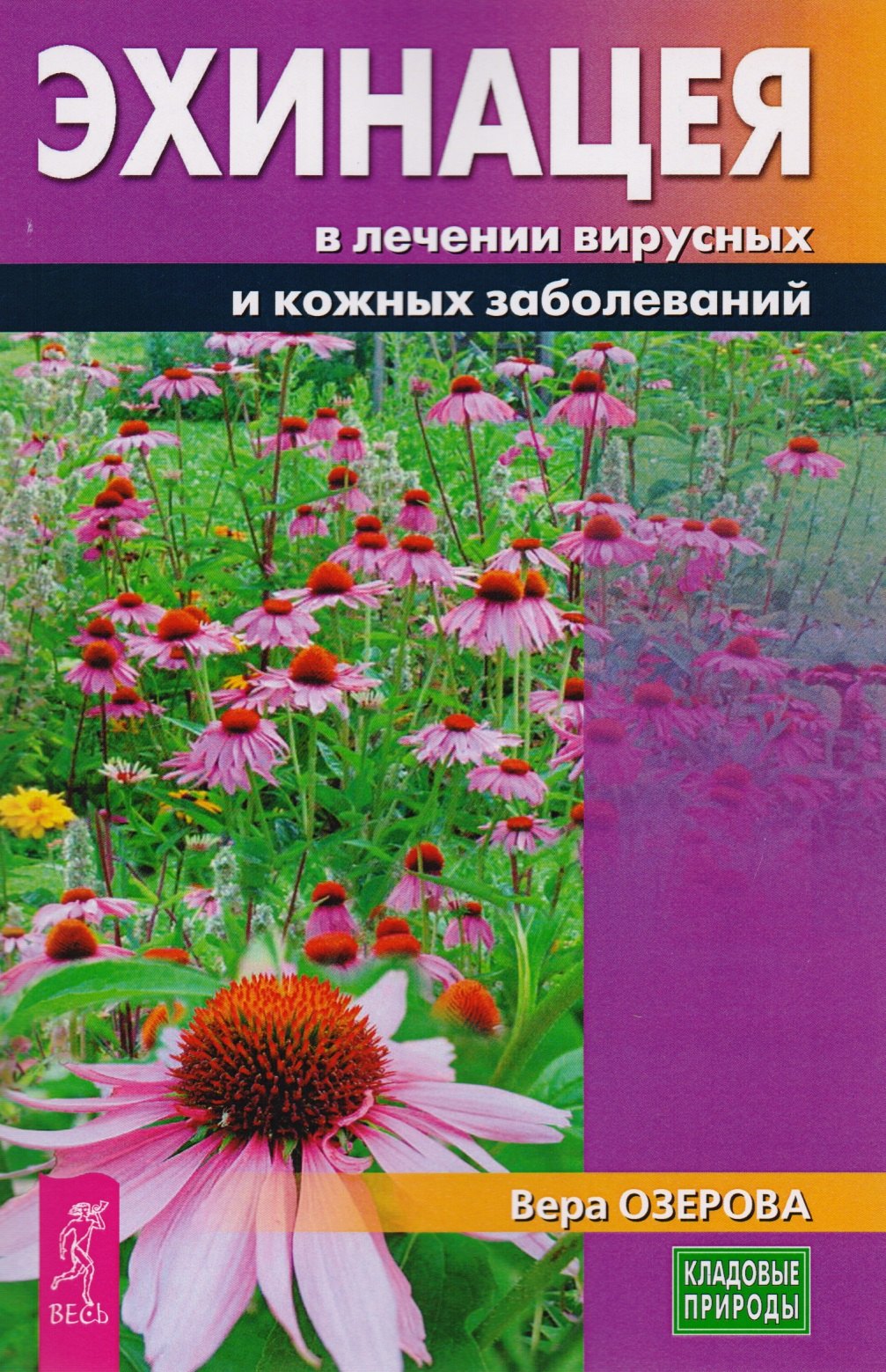 

Эхинацея в лечении вирусных и кожных заболеваний (3228)
