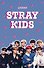 Книга для записей А5 64л лин. "Stray Kids" - 0