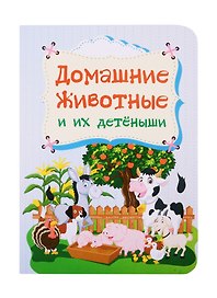 Домашние животные и их детеныши