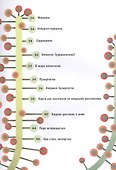 Все о хищных растениях для самых любознательных - 2