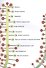 Все о хищных растениях для самых любознательных - 2
