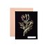 Paper Flowers Cards and Envelopes: The Art of Mary Delany - 2