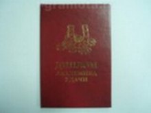 «Диплом академика удачи», Мастер
