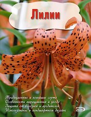 Лилии